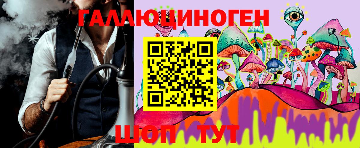 Галлюциногенные грибы Cubensis Боровичи