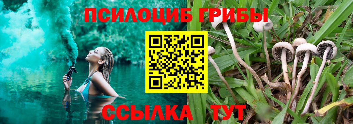 Боровичи  как найти закладки  Вход с VPN  Псилоцибиновые грибы ЛСД 